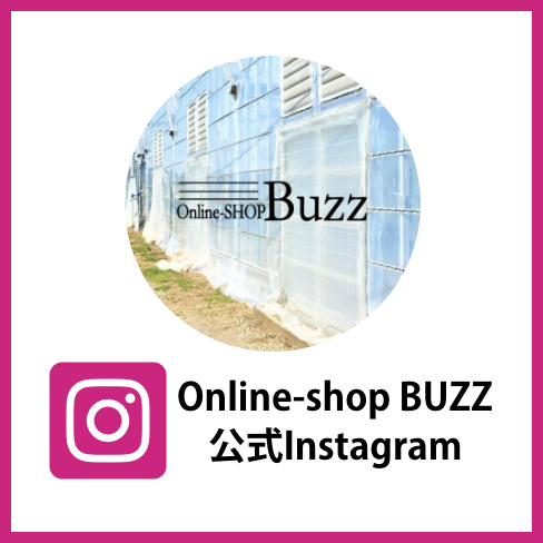 Online-SHOP Buzz