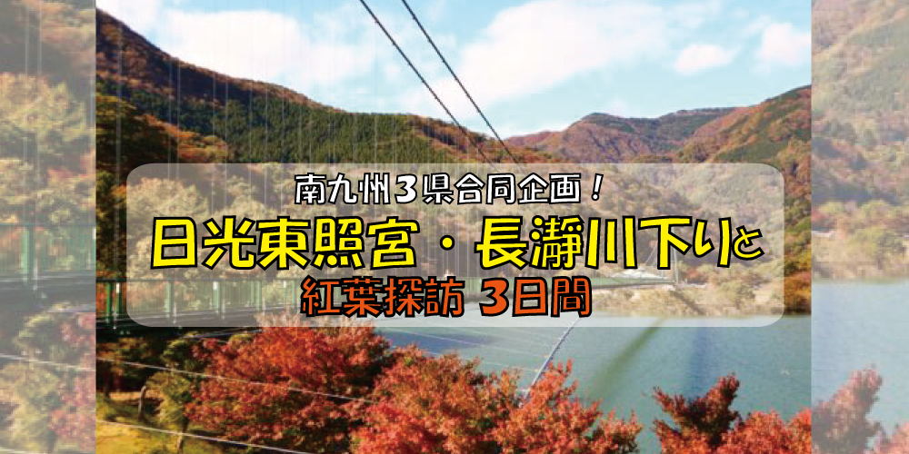 日光東照宮・長瀞川下りと紅葉探訪3日間