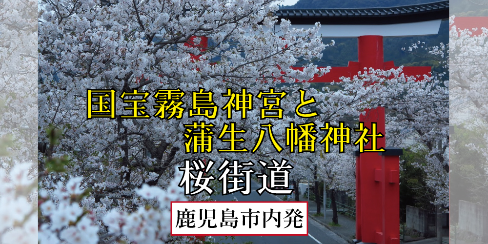 国宝霧島神宮と蒲生八幡神社桜街道【鹿児島市内発】